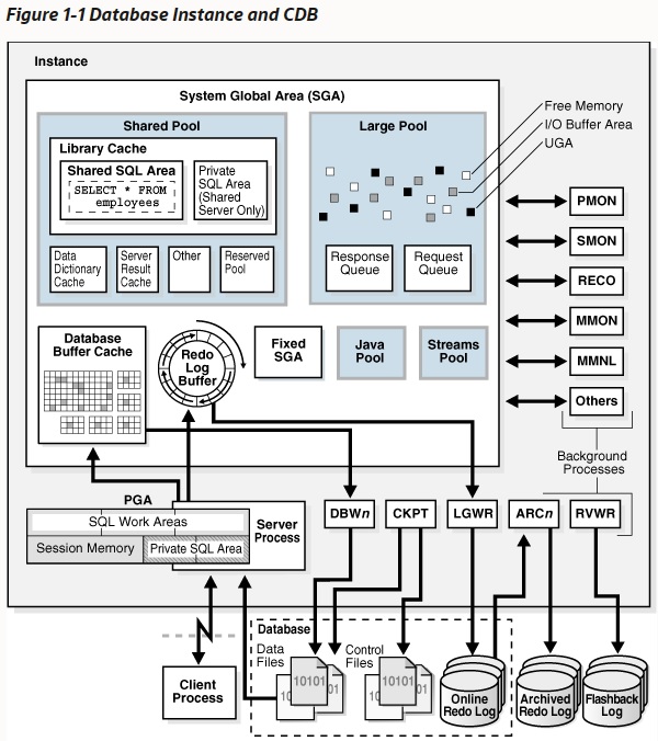 OraCon_Fig1-1